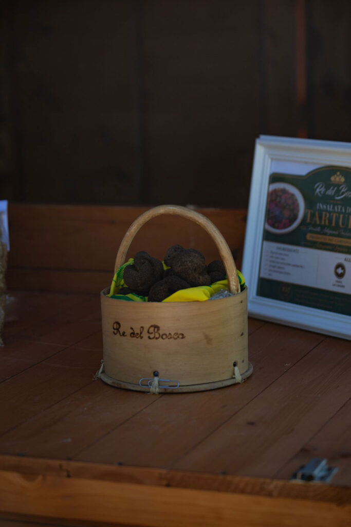 Tartufo Re del Bosco